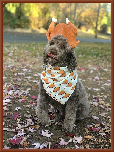 Peaches in Thanksgiving Outfit